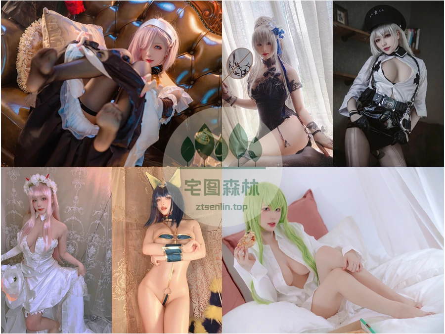 起司块wii写真合集下载&汇总[35套-14.7G]-第1张-宅图森林写真资源合集下载